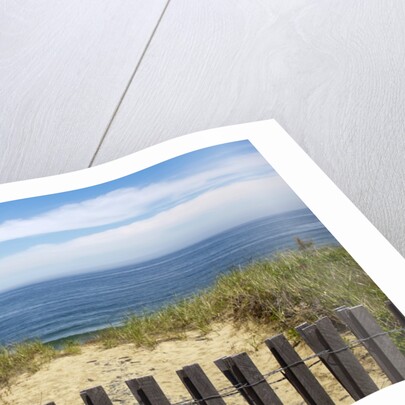 Fence and sand dunes on coast by Anonymous