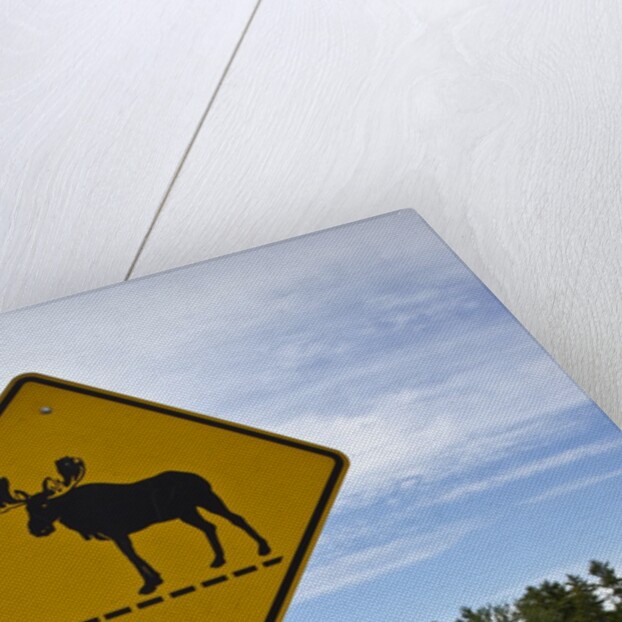 Moose crossing sign by Anonymous