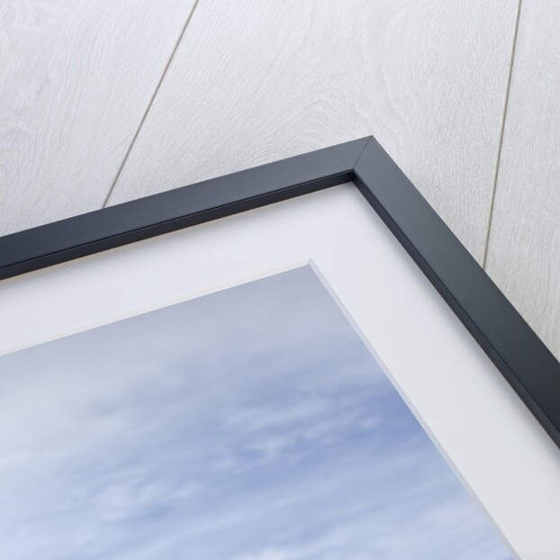 Moose crossing sign by Anonymous