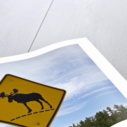 Moose crossing sign by Anonymous