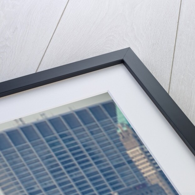 Statue of Liberty, New York City by Anonymous