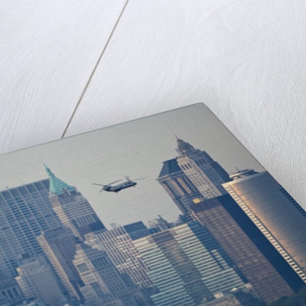 Statue of Liberty, New York City by Anonymous