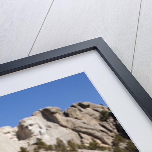 Mount Rushmore National Monument in South Dakota by Anonymous