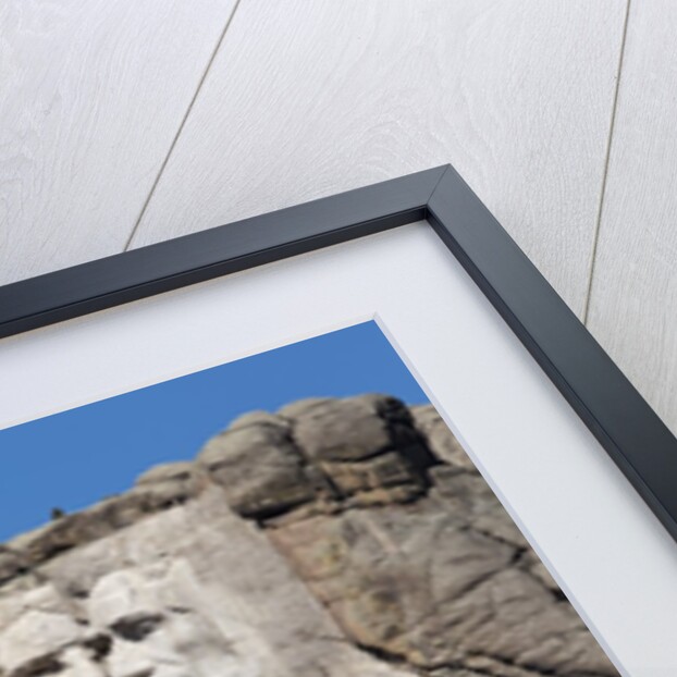 Mount Rushmore National Monument in South Dakota by Anonymous