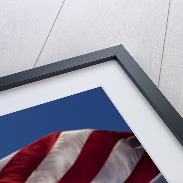 American Flag, Washington by Anonymous