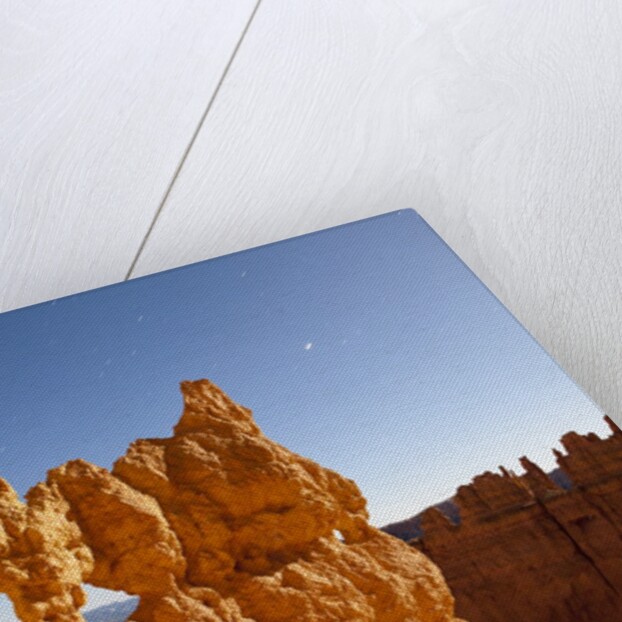 Rock formations in Bryce Canyon National Park in moonlight by Anonymous