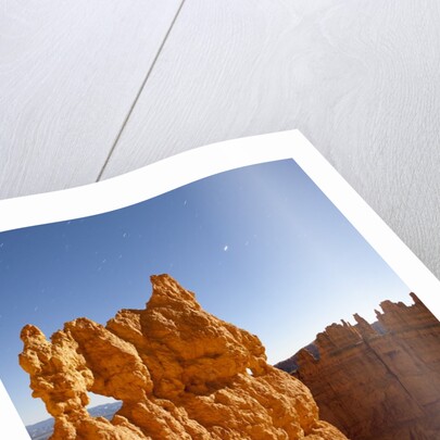 Rock formations in Bryce Canyon National Park in moonlight by Anonymous