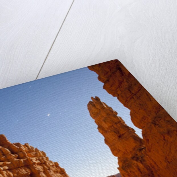 Rock formations in Bryce Canyon National Park in moonlight by Anonymous