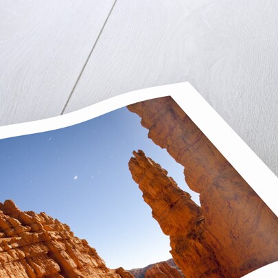 Rock formations in Bryce Canyon National Park in moonlight by Anonymous