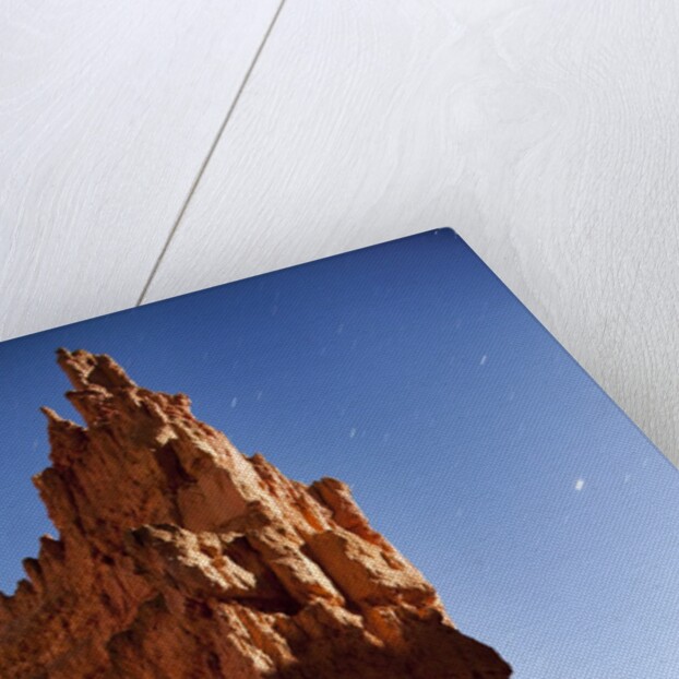 Rock formations in Bryce Canyon National Park in moonlight by Anonymous