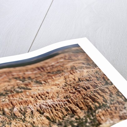 Bryce Canyon National Park by Anonymous