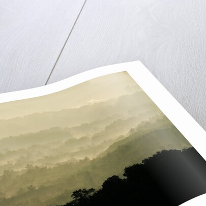 Skyline Drive, Shenandoah National Park, Virginia by Anonymous
