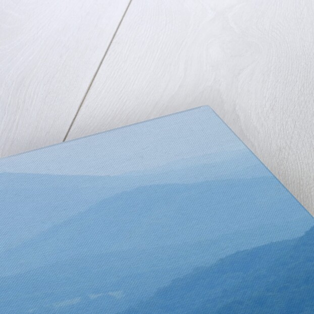 Skyline Drive, Shenandoah National Park, Virginia by Anonymous