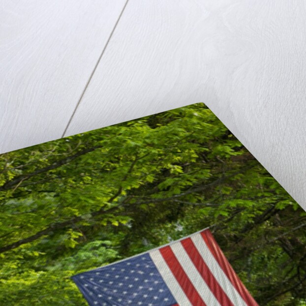 American flag hanging above gravel road by Anonymous