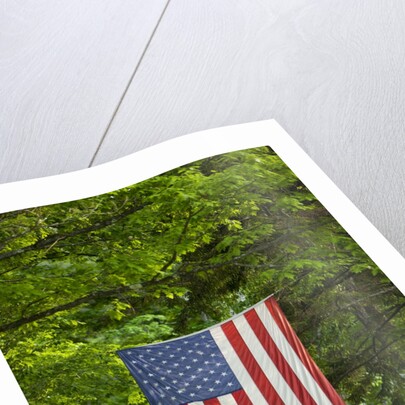 American flag hanging above gravel road by Anonymous