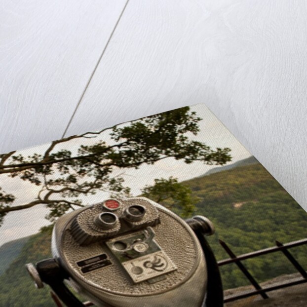 Stationary viewer facing the New River by Anonymous