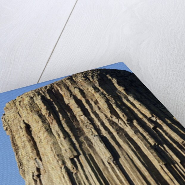 Devils Tower National Monument by Anonymous