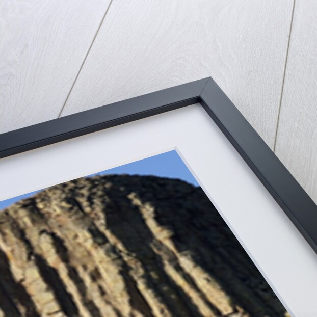 Devils Tower National Monument by Anonymous