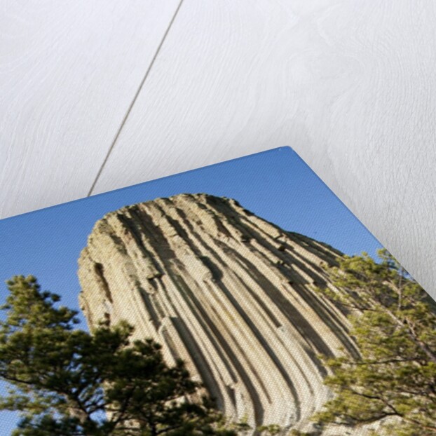 Devils Tower National Monument in Wyoming by Anonymous