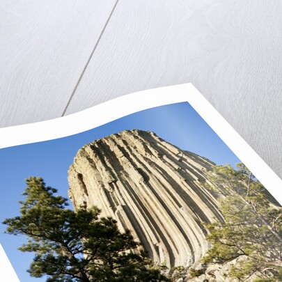 Devils Tower National Monument in Wyoming by Anonymous