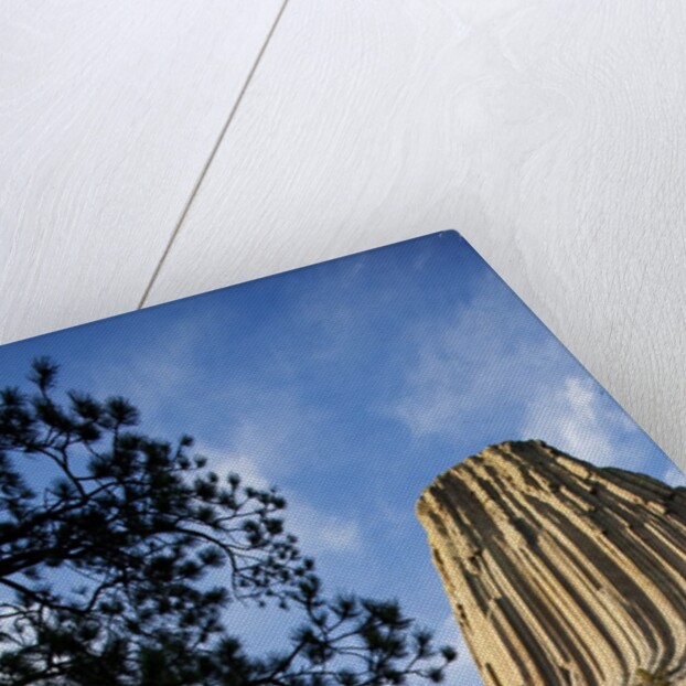 Devils Tower National Monument in Wyoming by Anonymous