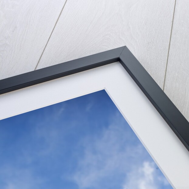 Devils Tower National Monument in Wyoming by Anonymous