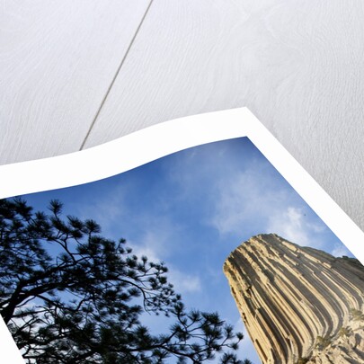 Devils Tower National Monument in Wyoming by Anonymous