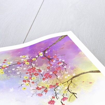 Flower petals by Anonymous