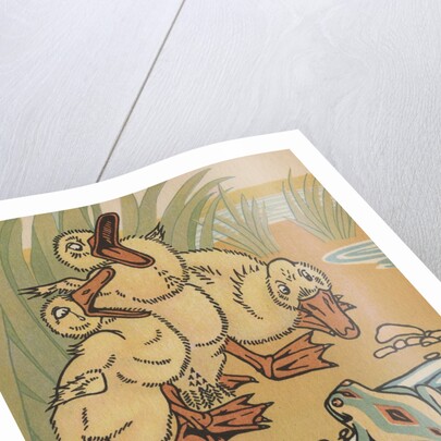 Ducklings and frog by Anonymous