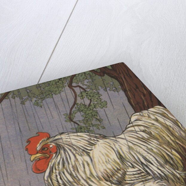 Unhappy rooster in rain by Anonymous