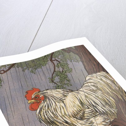 Unhappy rooster in rain by Anonymous