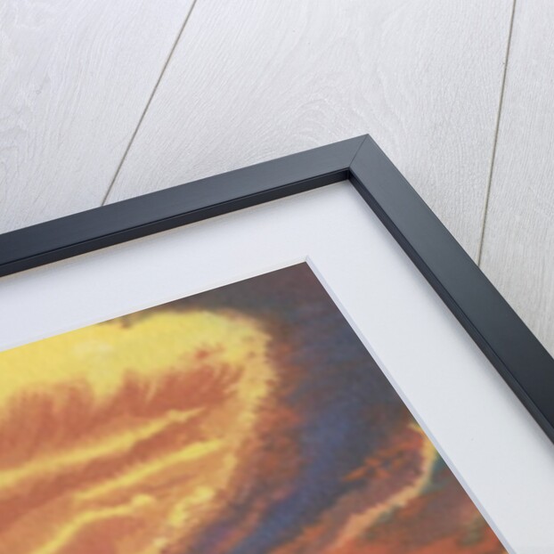 H-bomb testing at Bikini atoll by Anonymous