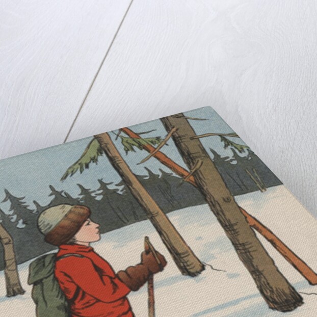 Boy cross-country skiing by Anonymous