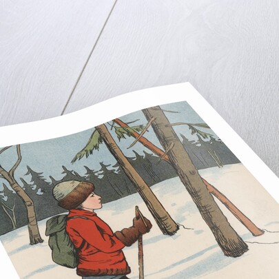 Boy cross-country skiing by Anonymous