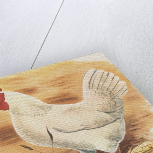 Chicken and hatching chicks by Anonymous