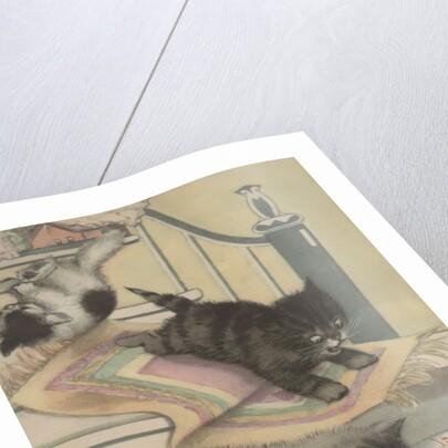 Kittens playing and drinking milk by Anonymous