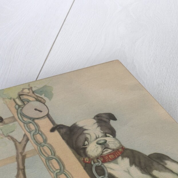 Chained dog sitting near chewed up shoe by Anonymous