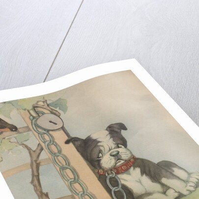 Chained dog sitting near chewed up shoe by Anonymous