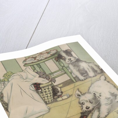 Puppies playing with laundry by Anonymous