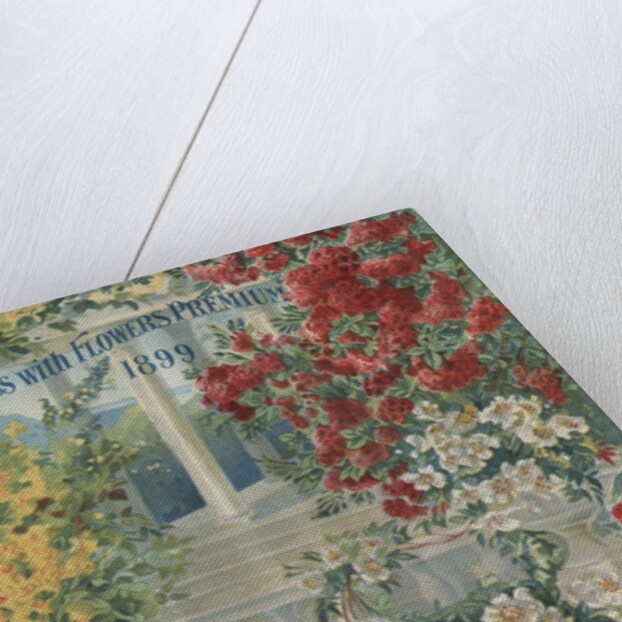 Illustration of roses by Anonymous