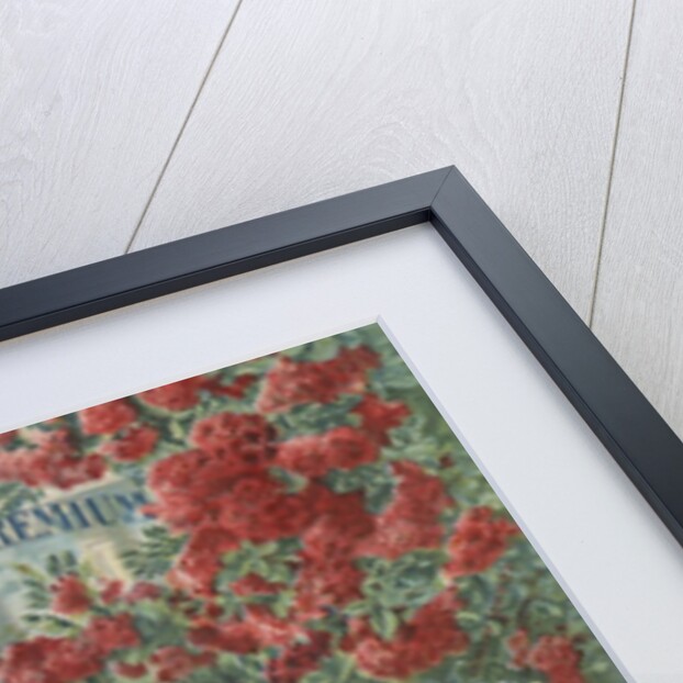 Illustration of roses by Anonymous