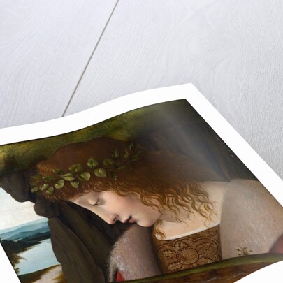 Narcissus by a Corbis