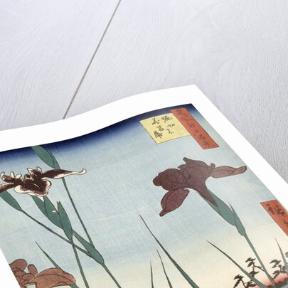 Horikiri Iris Garden by Utagawa Hiroshige
