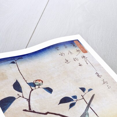 Tsubaki ni Uguisu (Camellia and Bush Warbler) by Utagawa Hiroshige