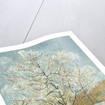 The Pink Peach Tree by Vincent Van Gogh