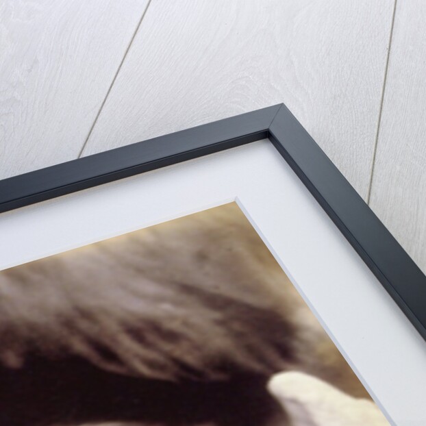 I Wait (Rachel Gurney as an Angel) by Julia Margaret Cameron