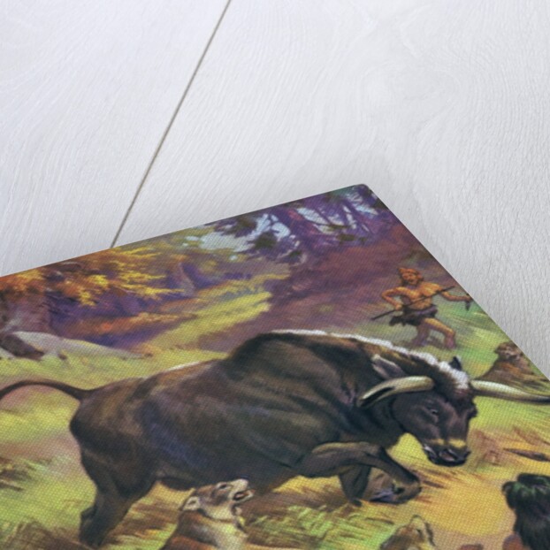 Cavemen hunting an auroch by Anonymous