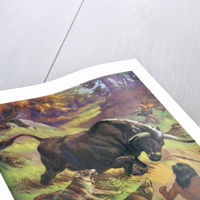 Cavemen hunting an auroch by Anonymous