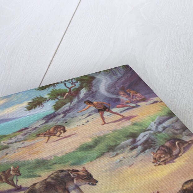 Jackals stealing food from cavemen by Anonymous