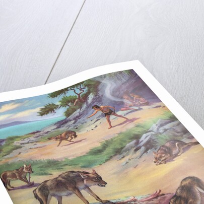 Jackals stealing food from cavemen by Anonymous